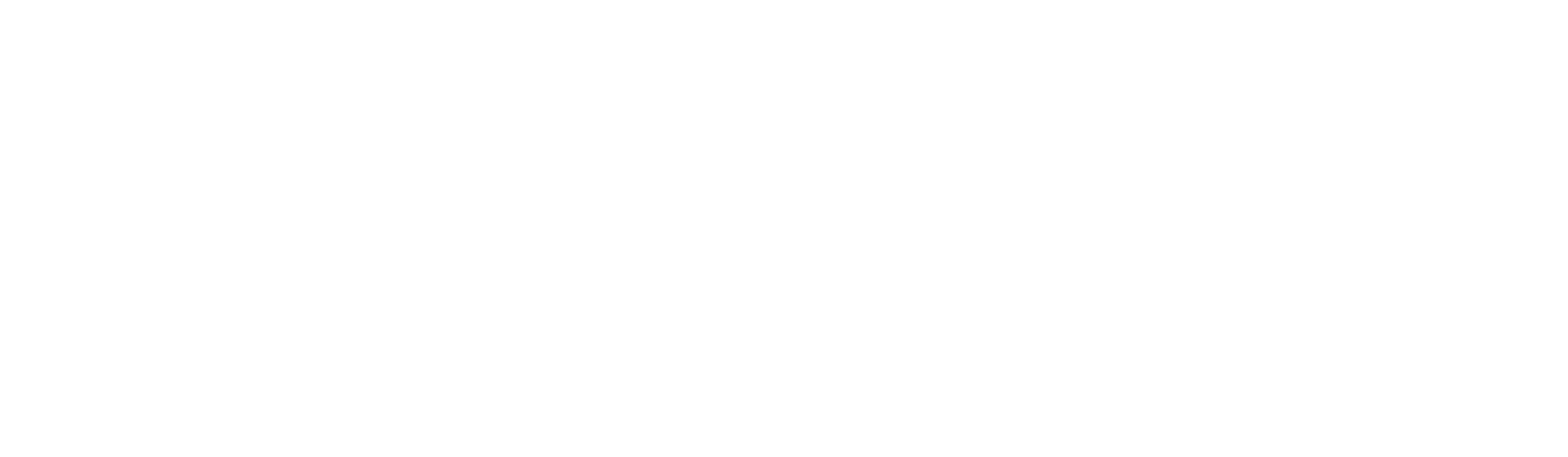 https://www.padagis.com/wp-content/uploads/2023/01/Padagis-white2023.png